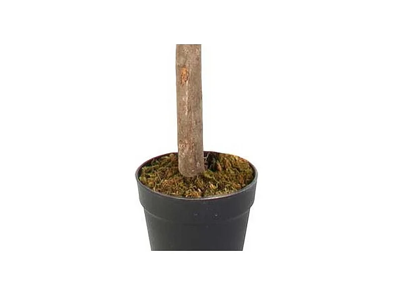 Plante Artificielle Citronnier 120c Vert, Jaune