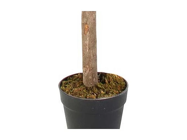 Plante Artificielle Citronnier 120c Vert, Jaune