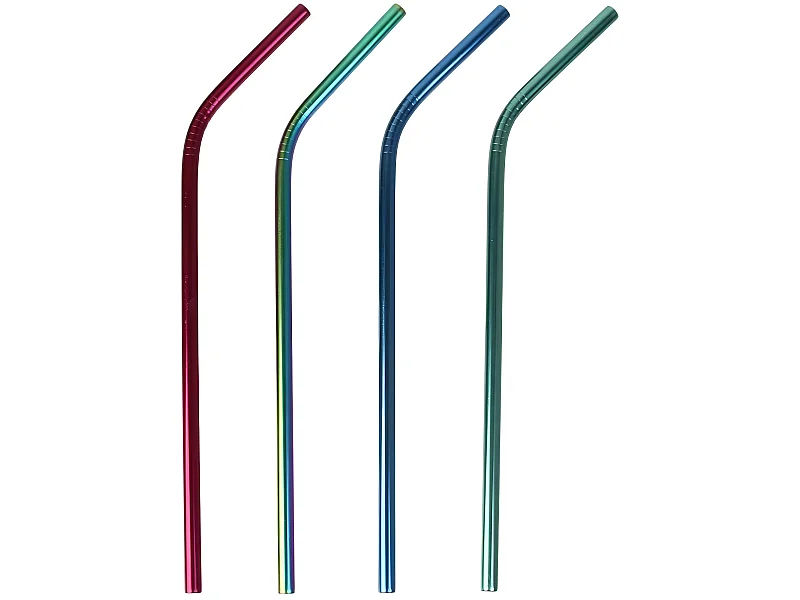 Lot de 4 Pailles Inox "Goupillon" 22cm Multicolore