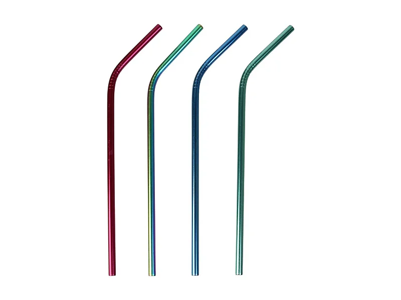 Lot de 4 Pailles Inox "Goupillon" 22cm Multicolore