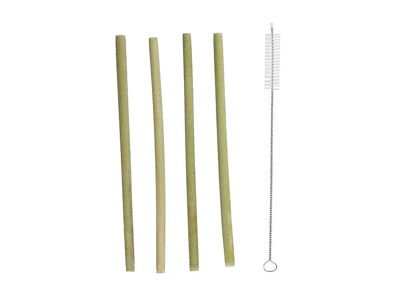 Lot de 4 Pailles & Goupillon "Ecolo" 22cm Naturel