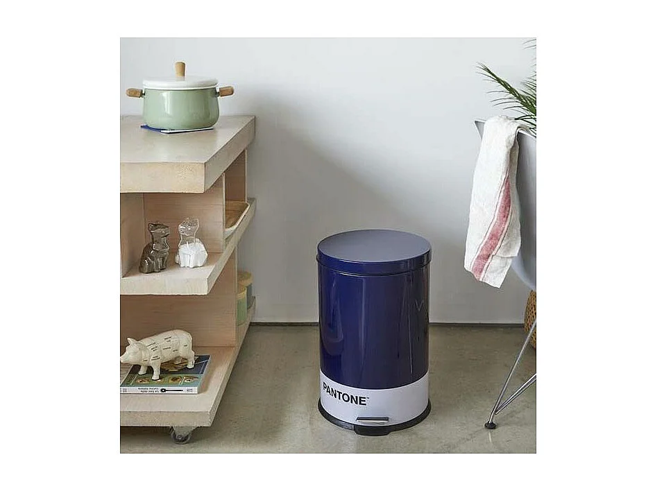 Bidone in metallo Pantone 20 L