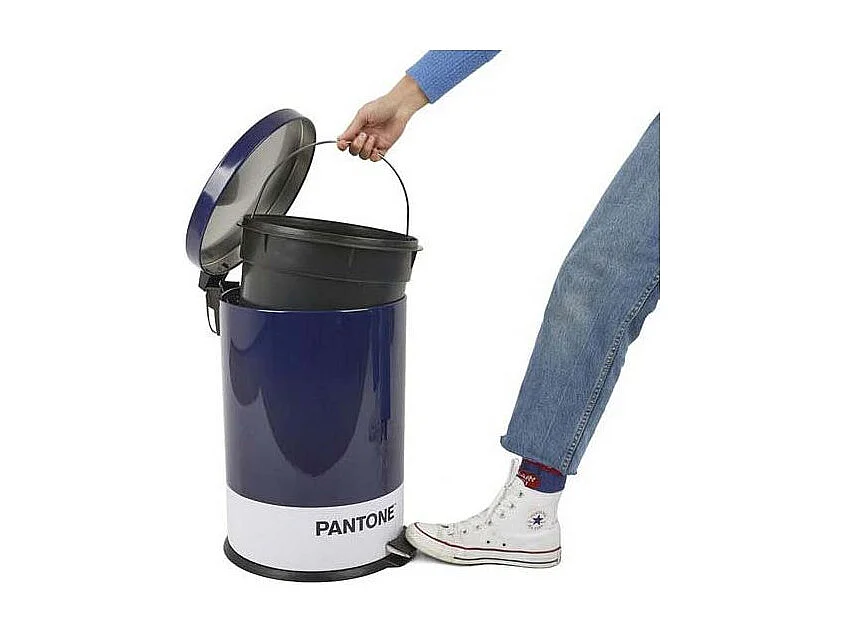 Bidone in metallo Pantone 20 L