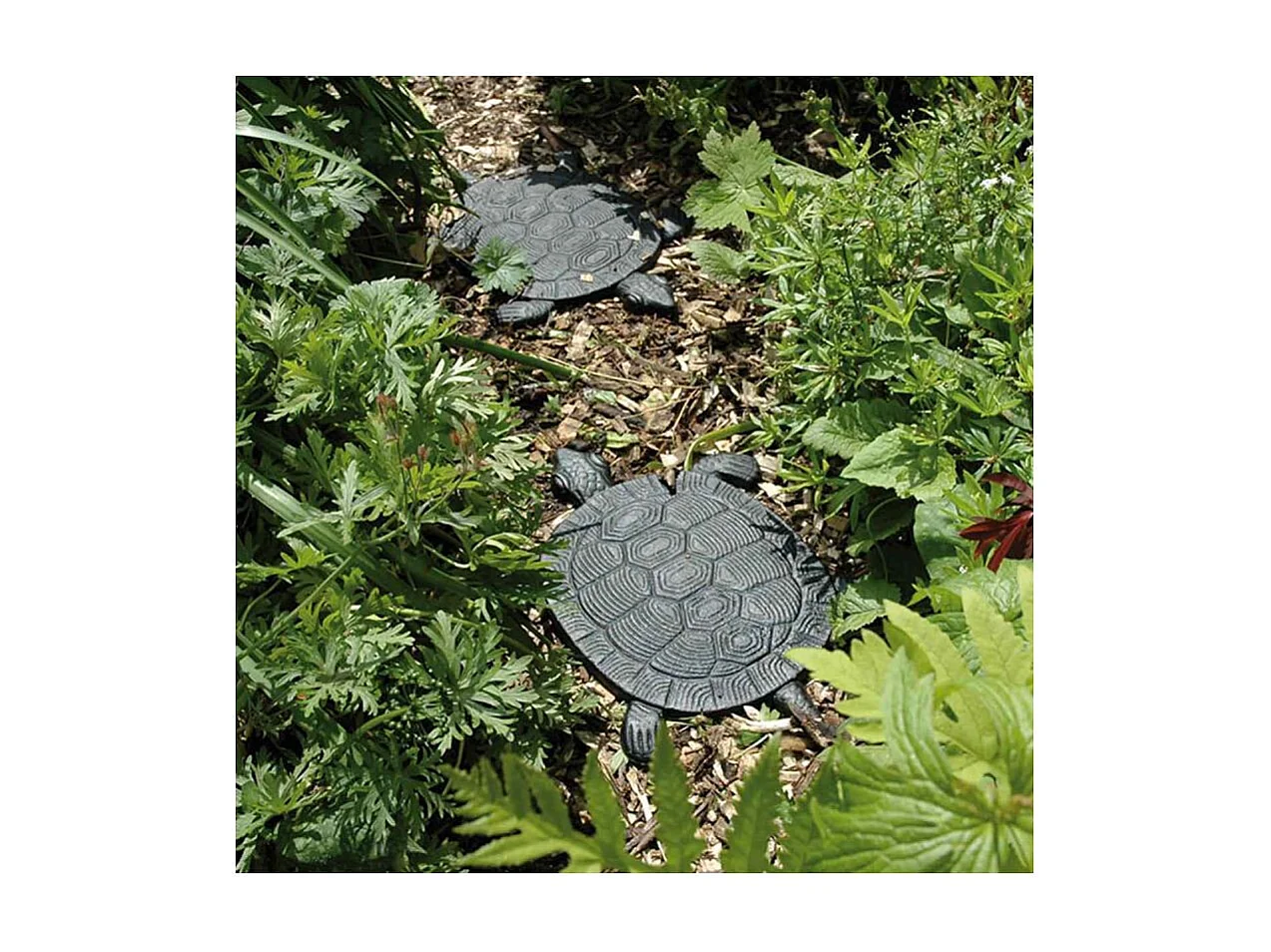 Pas japonais motif tortue Unitaire