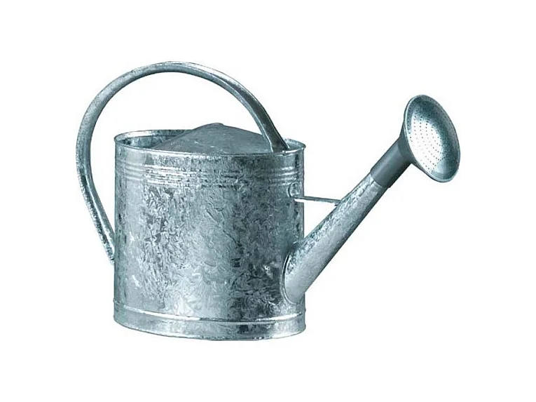 Regadera de acero galvanizado con cabeza de 13 litros