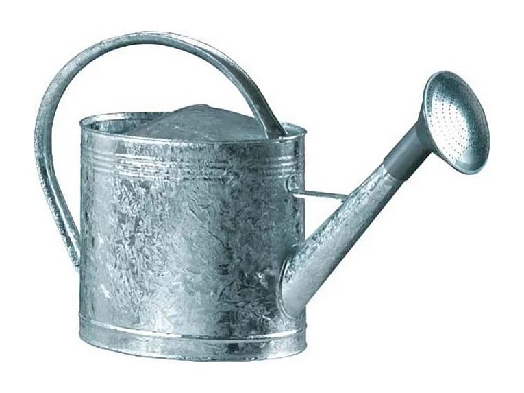 Arrosoir acier galvanisé avec pomme 13 litres