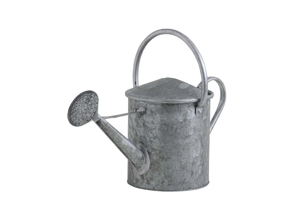 Annaffiatoio decorativo in zinco pesante 5 litri