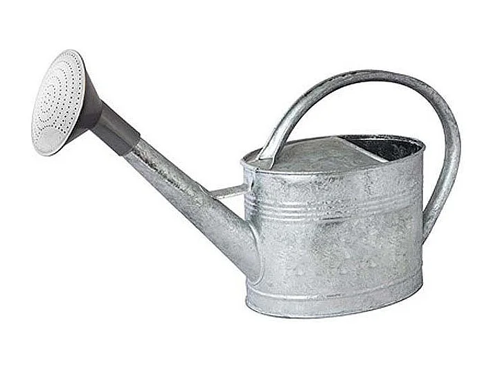 Regadera de acero galvanizado con cabeza de 6 litros