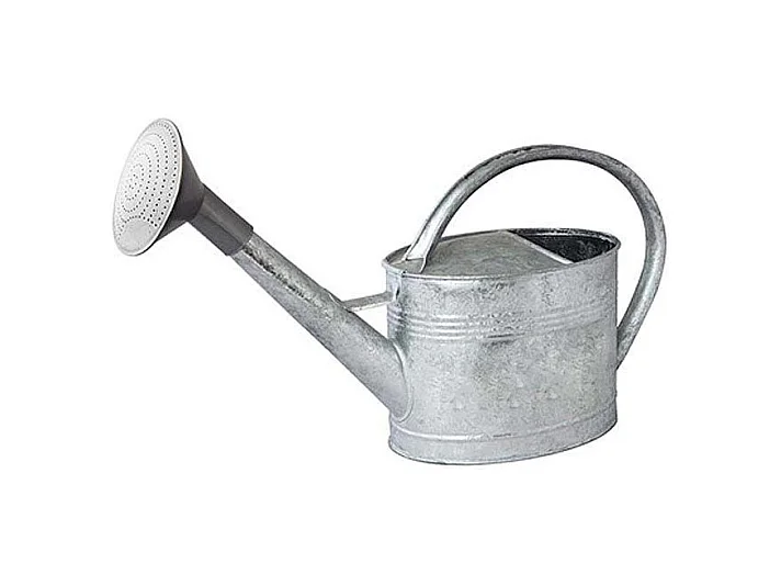 Regadera de acero galvanizado con cabeza de 6 litros