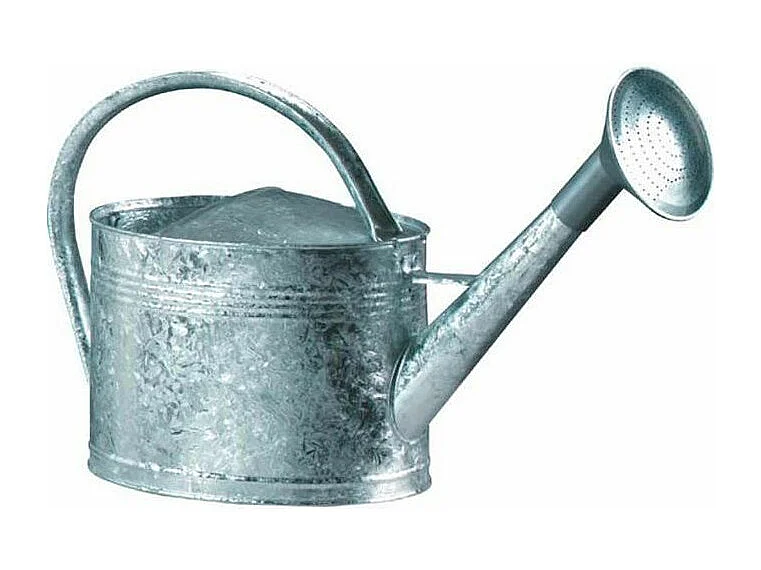 Arrosoir acier galvanisé avec pomme 6 litres