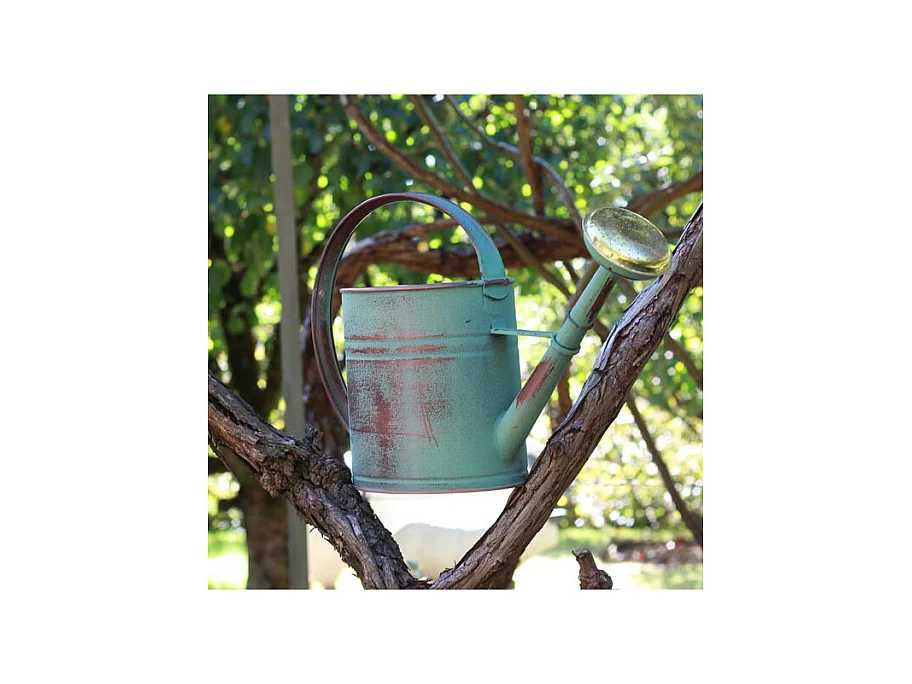 Vieja regadera verde con manzana 4 litros