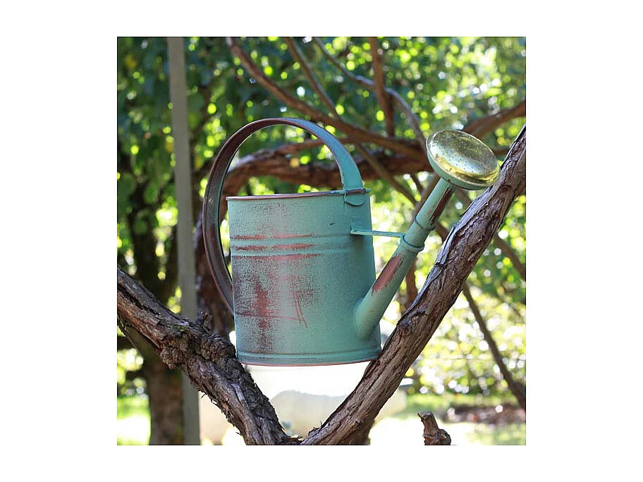 Vieja regadera verde con manzana 4 litros