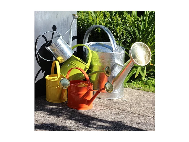 Arrosoir acier galvanisé avec pomme 10 litres