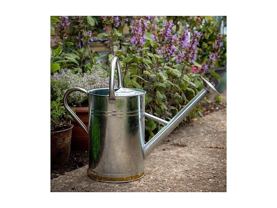 Gießkanne aus verzinktem Stahl 9 Liter