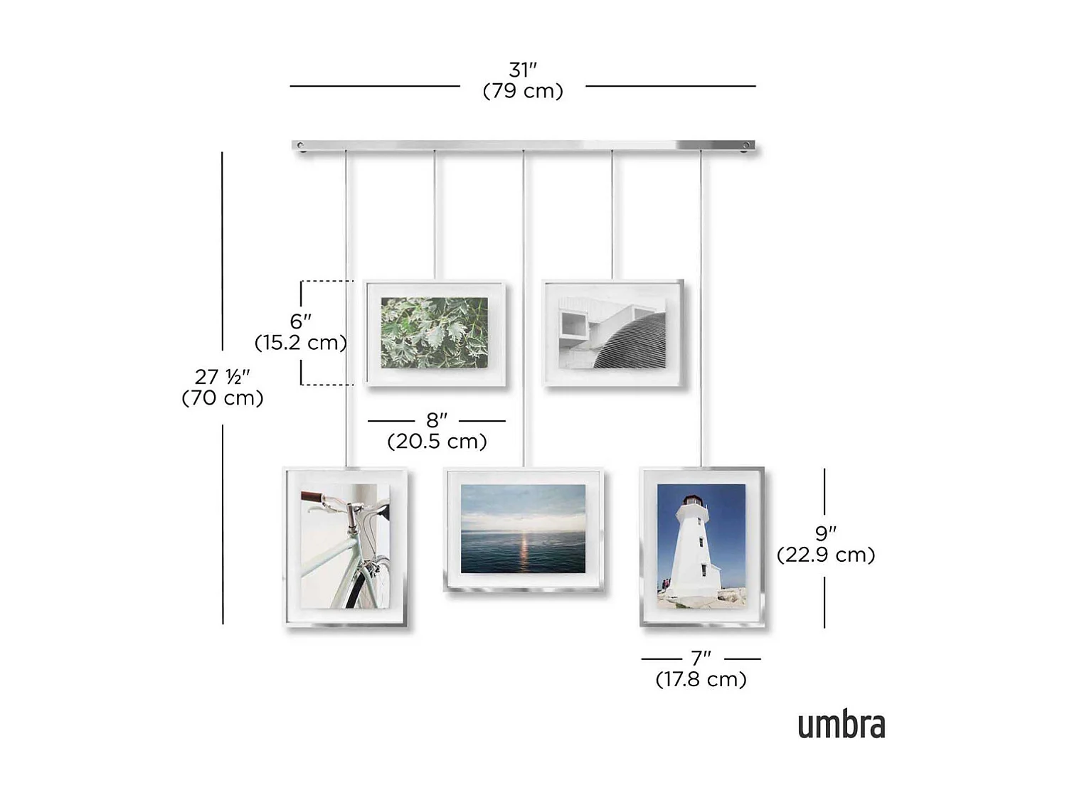 Estantería fotográfica de 5 marcos Exposición