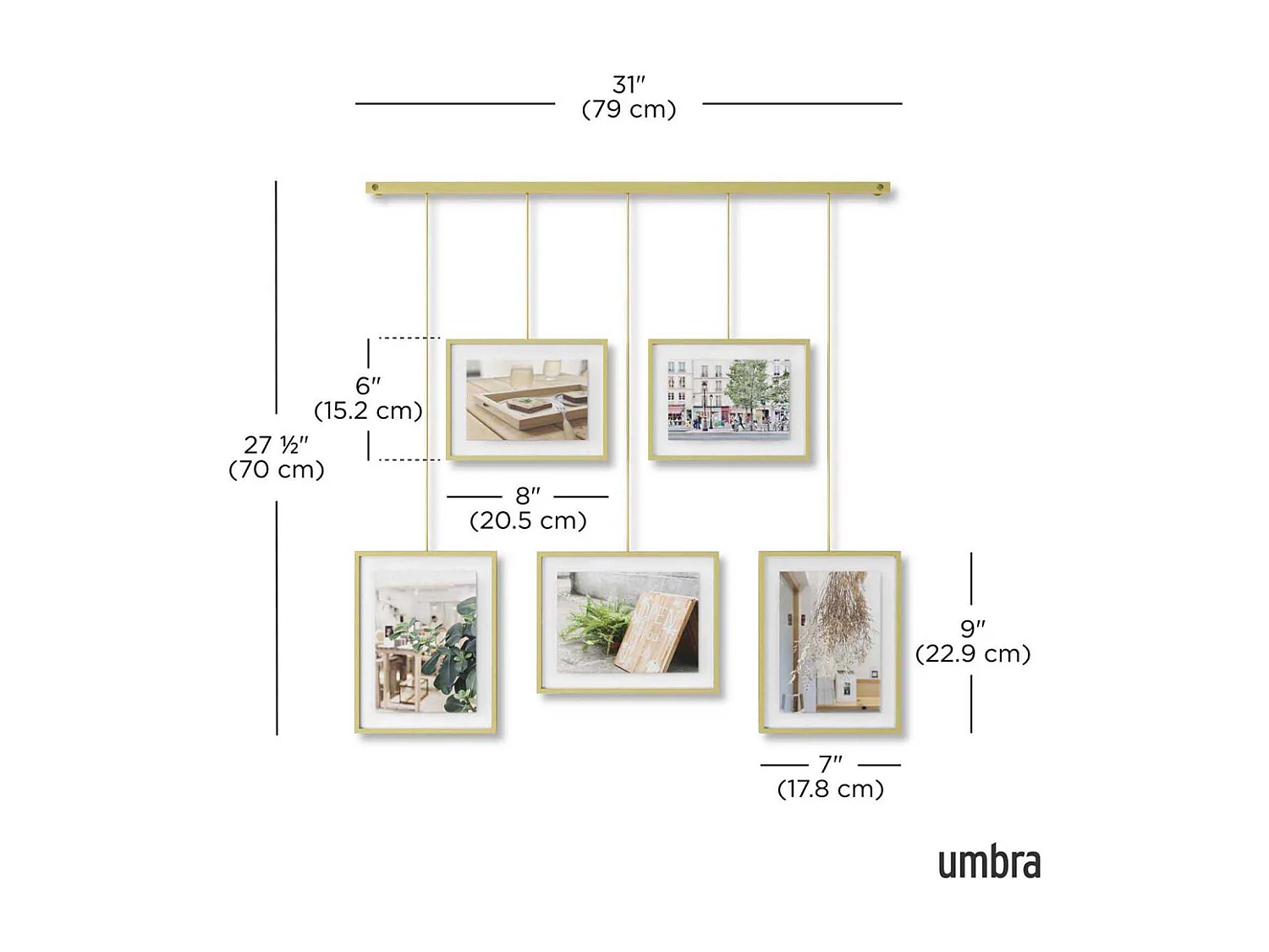 Portafoto a 5 telai per scale Mostra