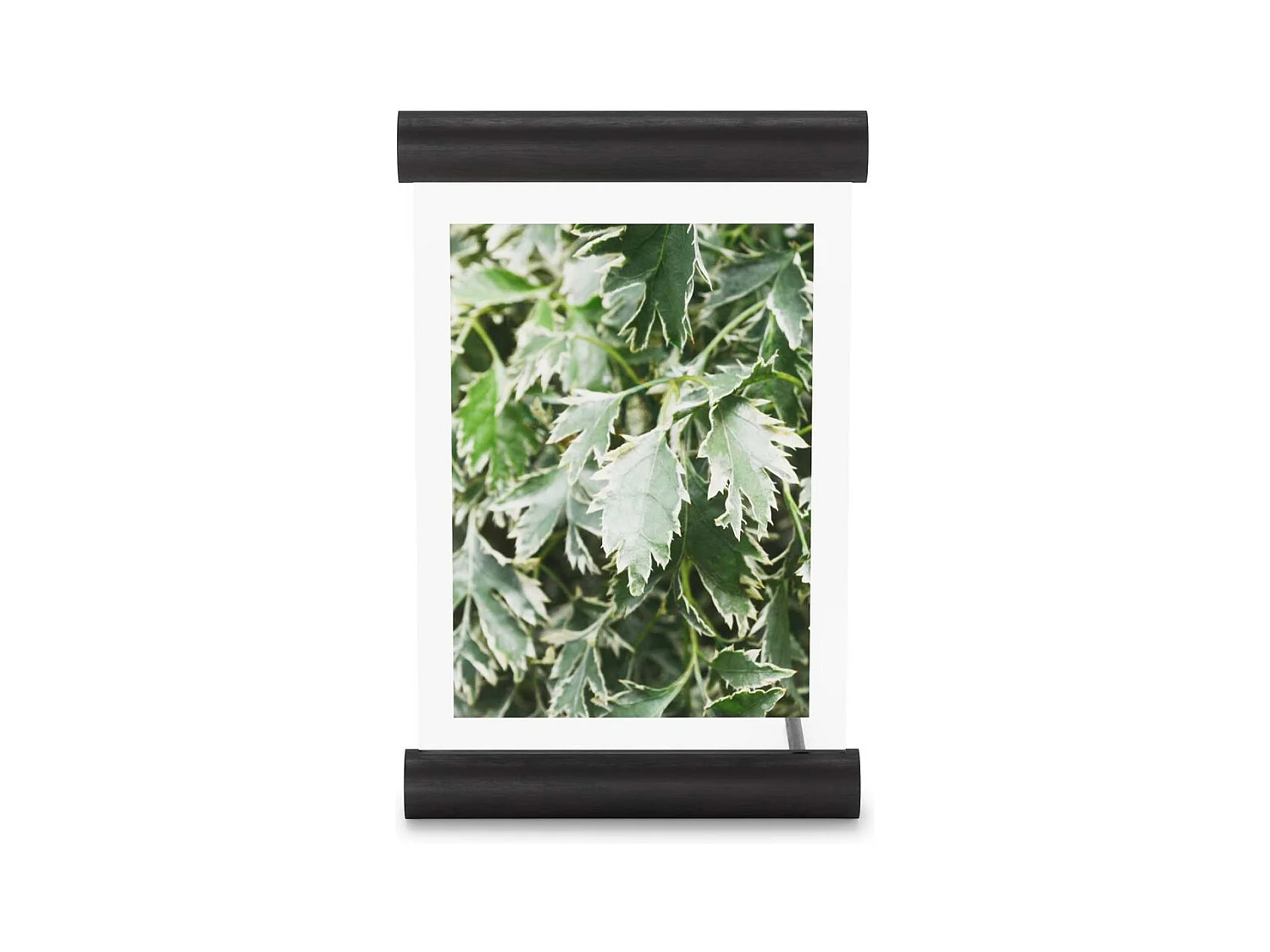 Portafoto in legno 13 x 18 cm Scroll