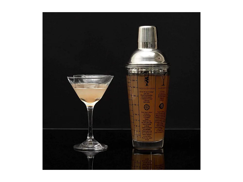 Shaker En Verre Avec Recettes 450ml Argent, Transparent