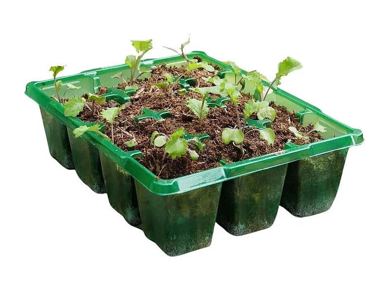 Bac à semences 12 pots Gro-sure