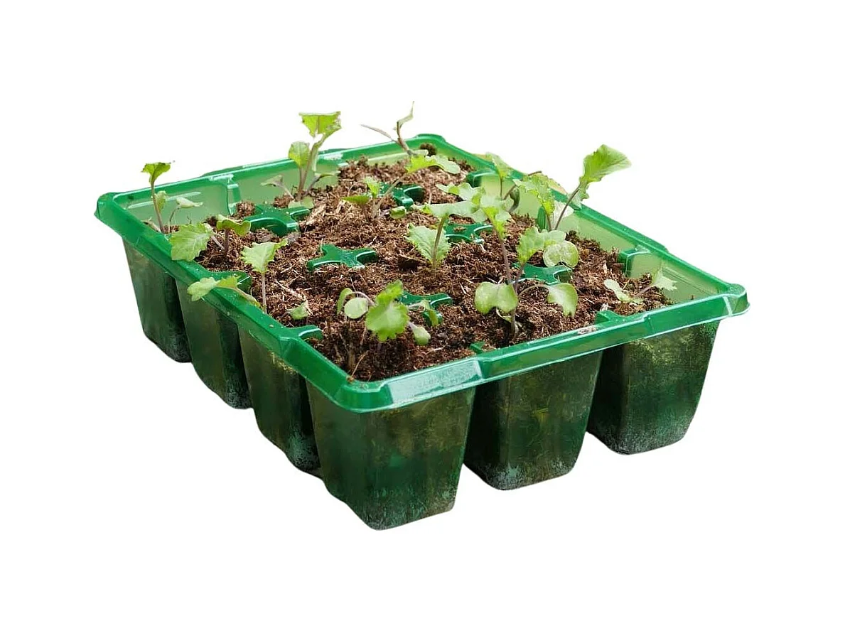 Bac à semences 12 pots Gro-sure