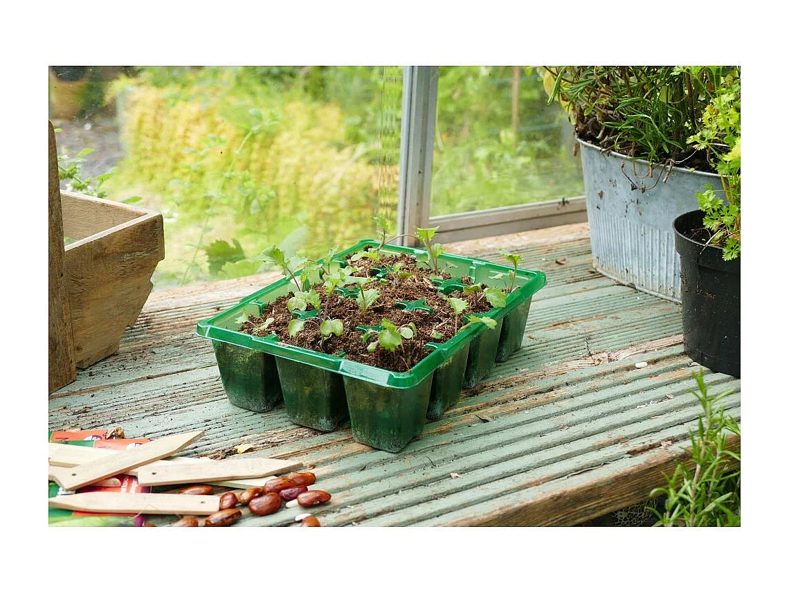 Bac à semences 12 pots Gro-sure