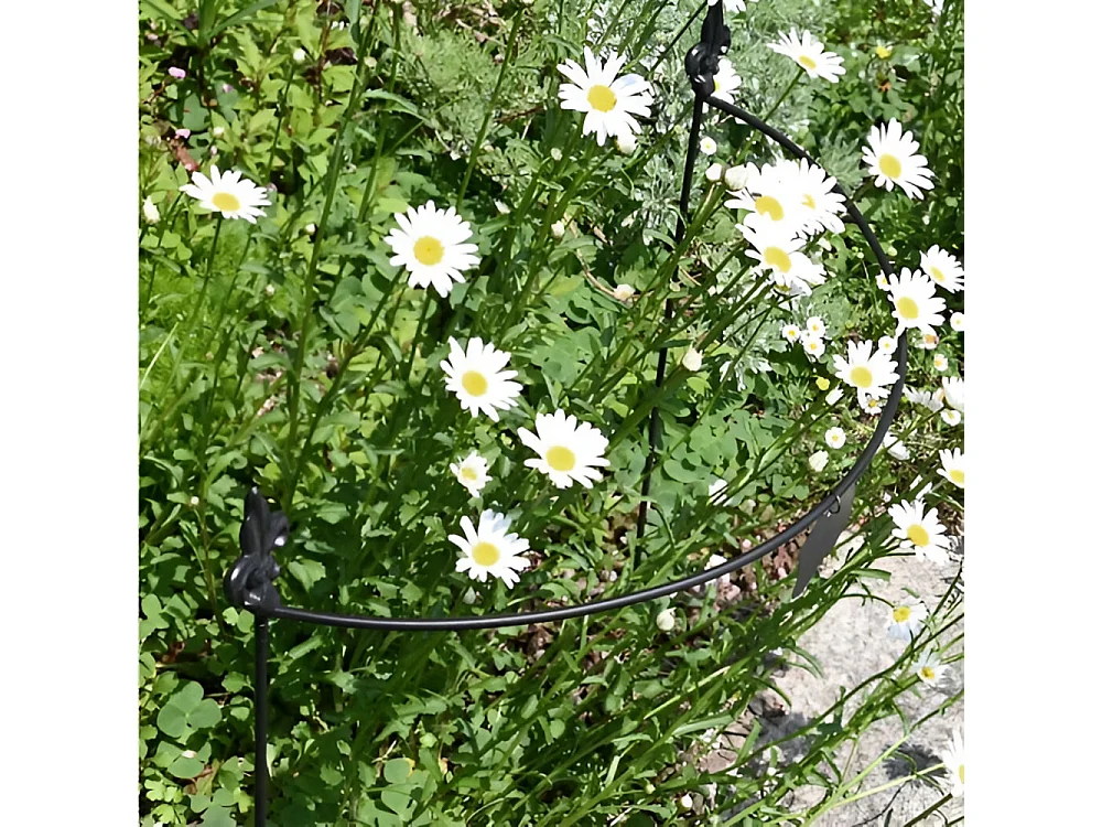 Tuteur à plantes demi-cercle en acier fleur de lys 60 cm