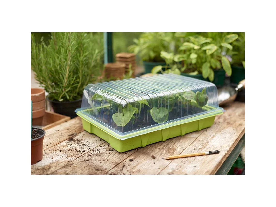 Deckel für Samenkasten