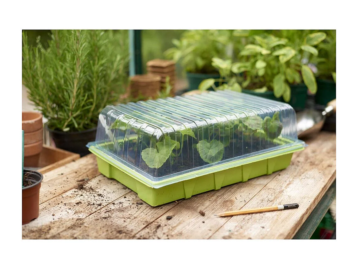 Deckel für Samenkasten