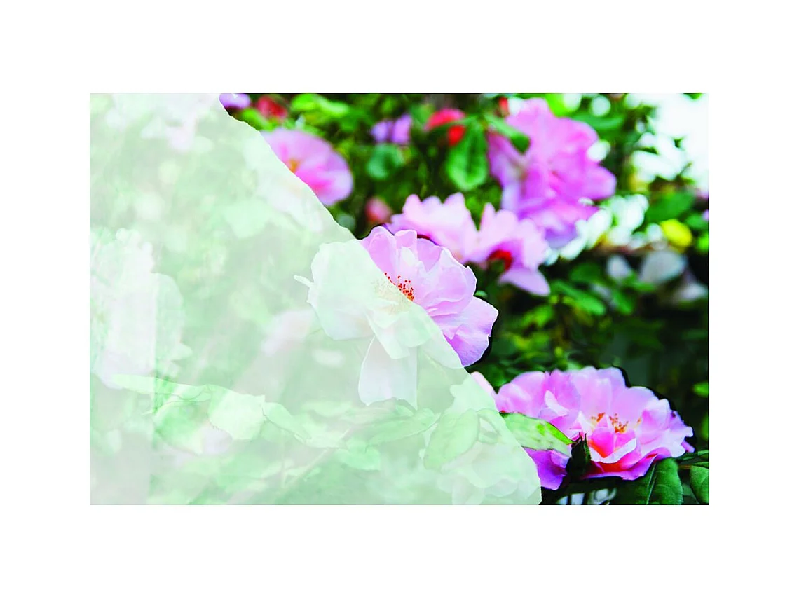 Cubierta vegetal transpirable