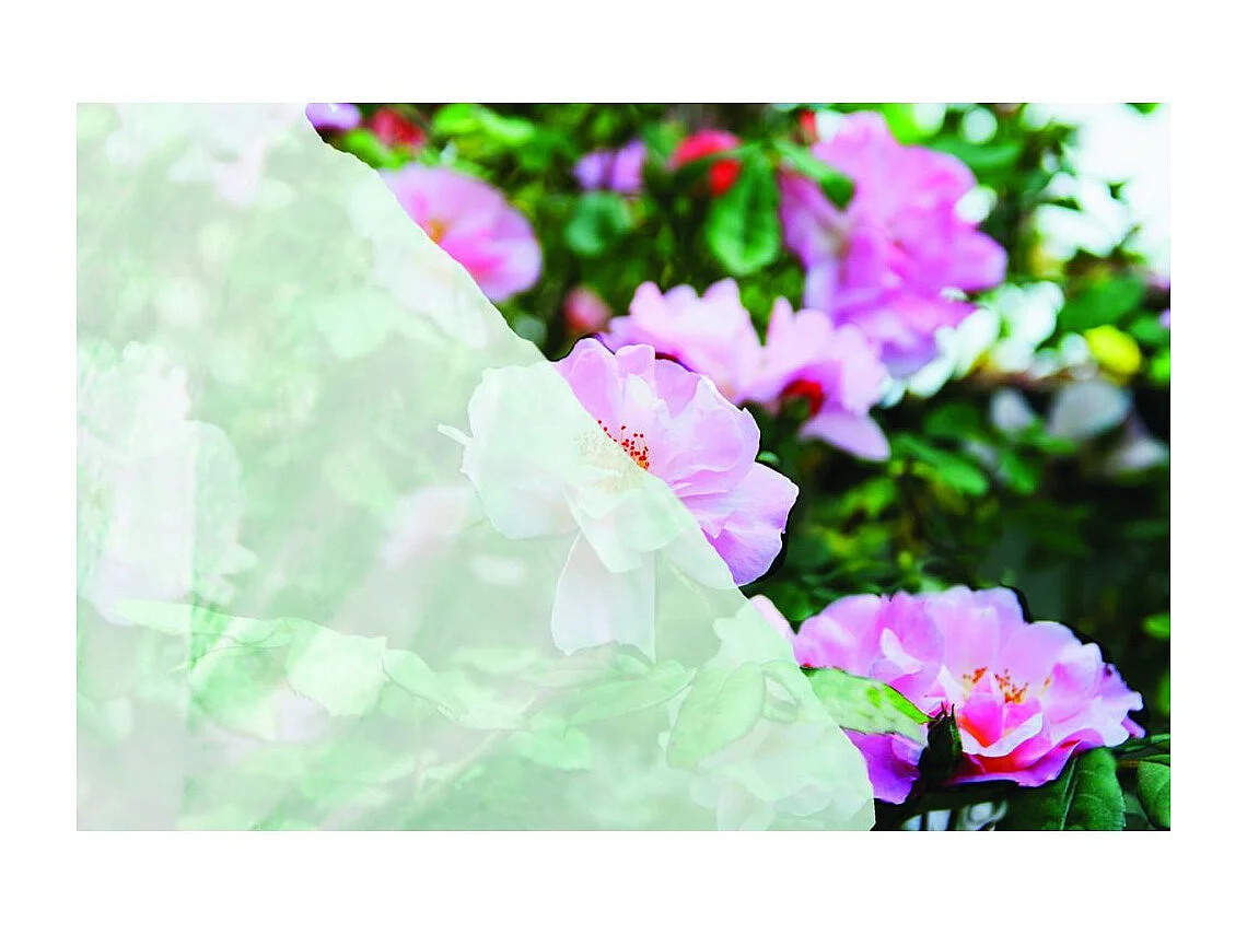 Bâche de protection respirante pour plantes