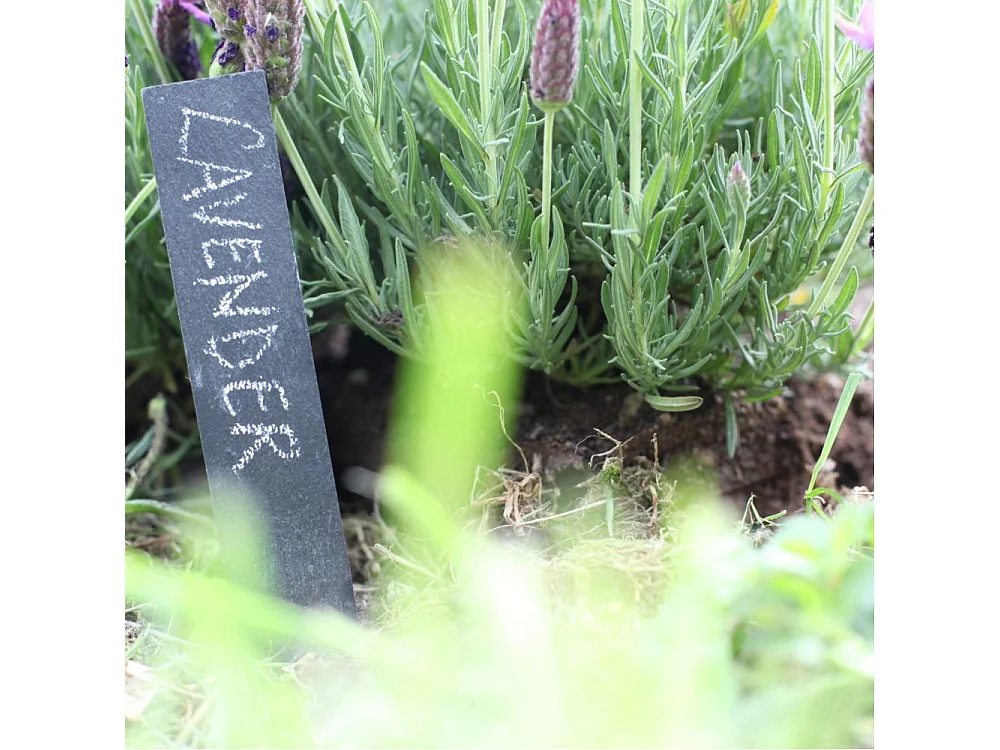 Etiquettes en ardoise (Lot de 18)