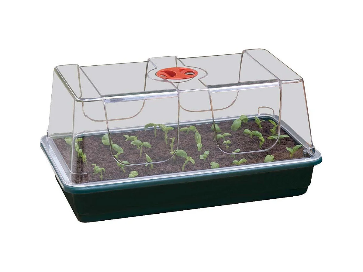 Grand plateau en plastique de semis