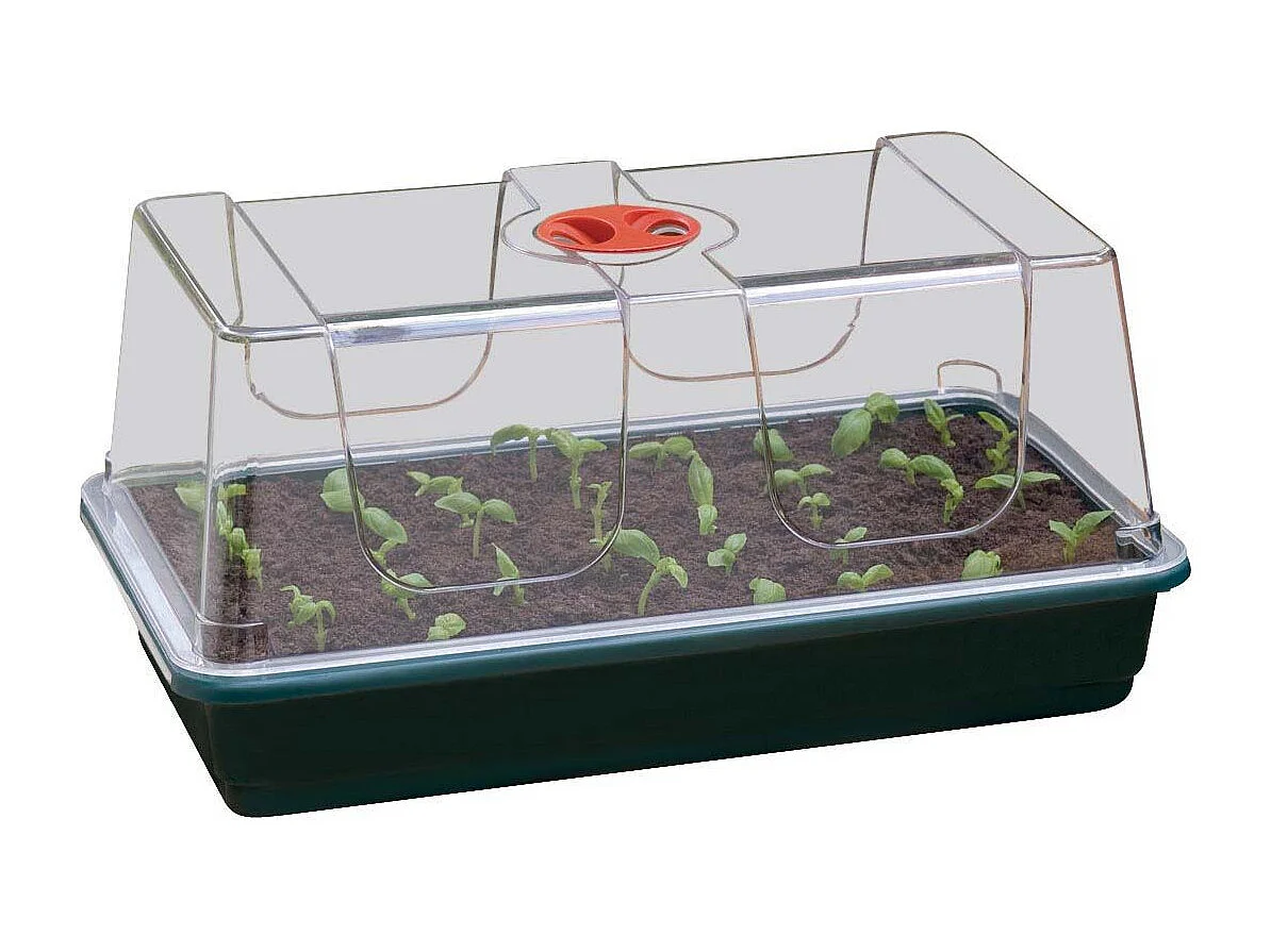 Grand plateau en plastique de semis