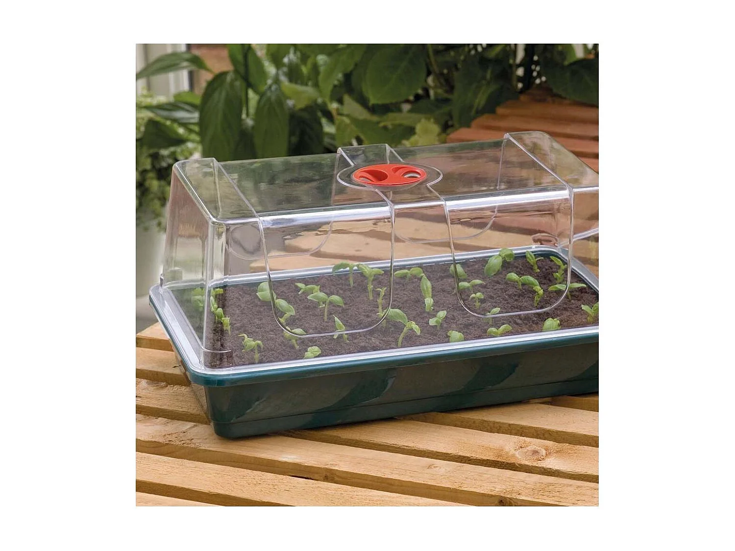 Grand plateau en plastique de semis