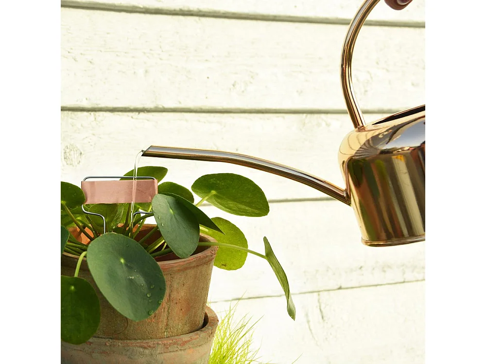 Etiquettes à plantes en cuivre (Lot de 6)