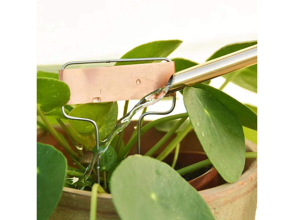 Etiquettes à plantes en cuivre (Lot de 6)