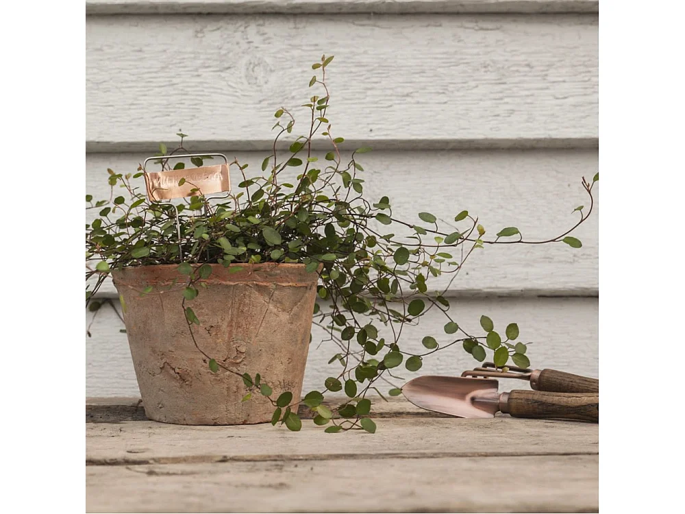 Etiquettes à plantes en cuivre (Lot de 6)