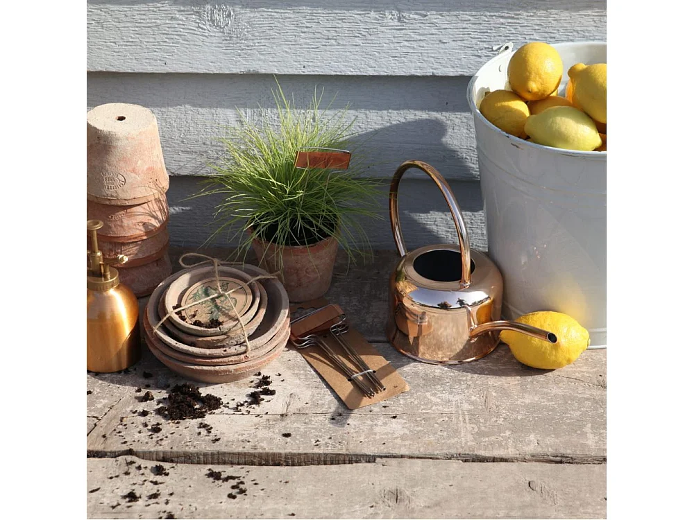 Etiquettes à plantes en cuivre (Lot de 6)