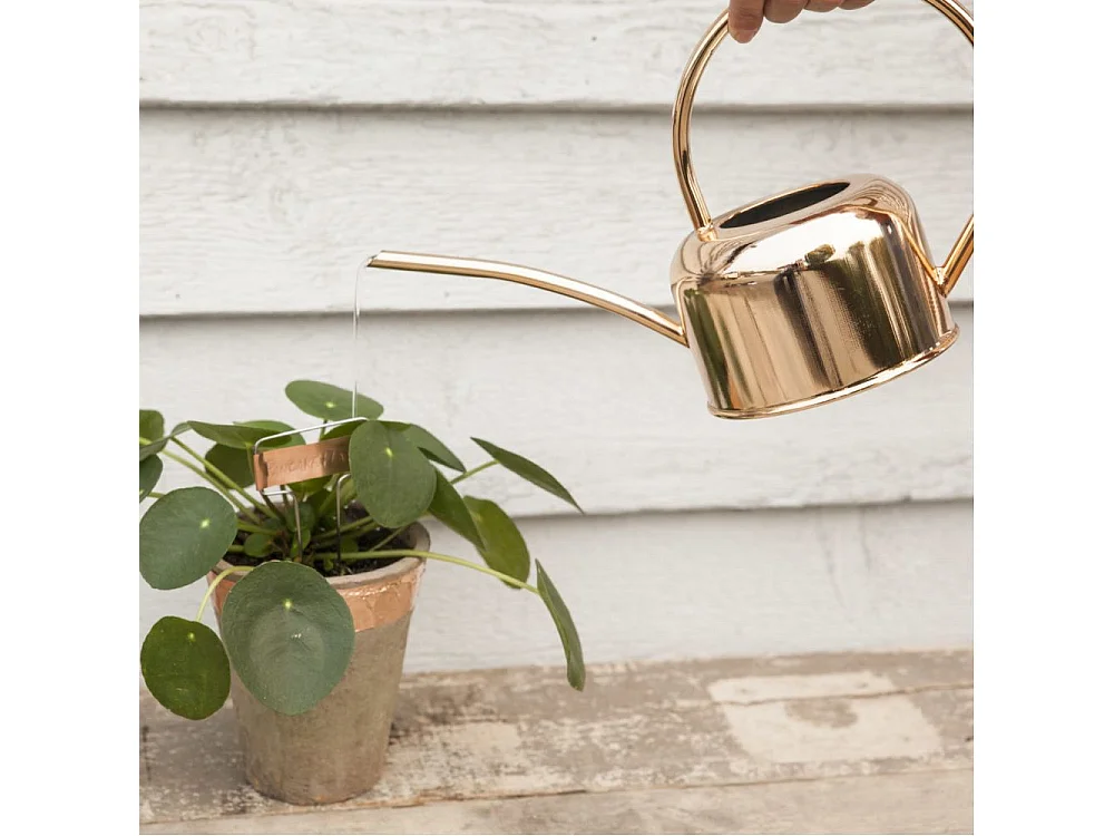 Etiquettes à plantes en cuivre (Lot de 6)