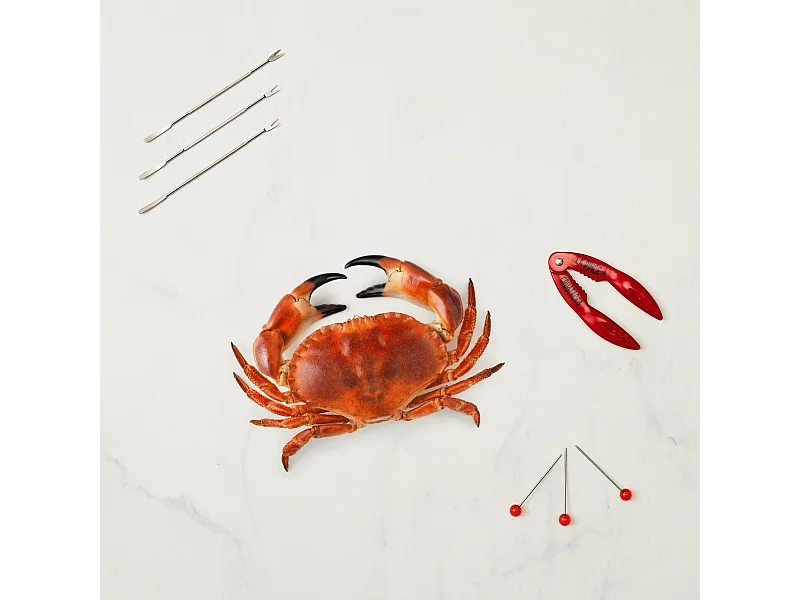 Coffret Crustaces Pince X1 Pique Fourchette X6 Rouge, Argent