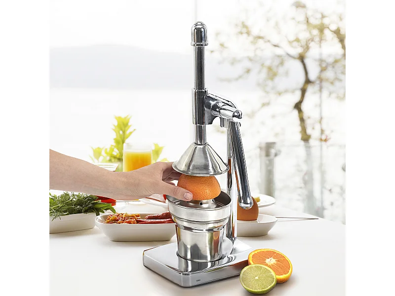 Presse Agrumes A Levier