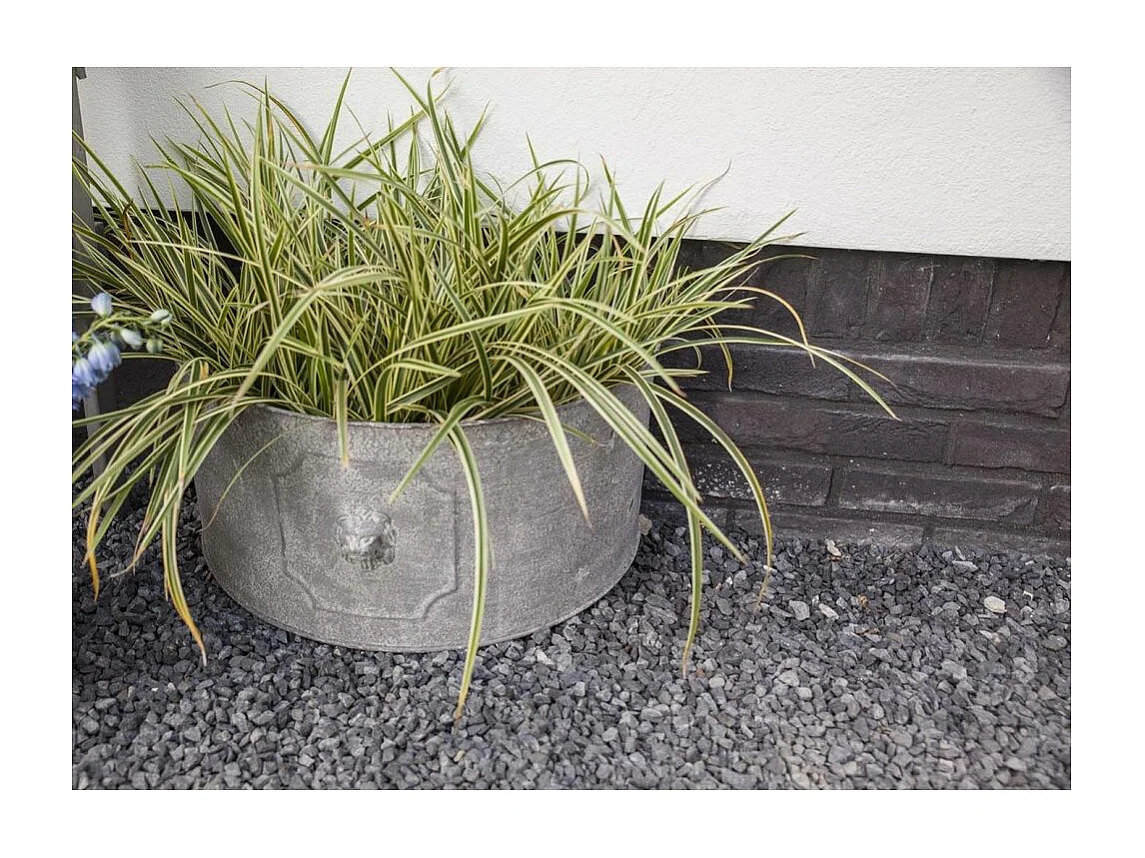 Blumentopf halbrund Lwe (Satz von 2)