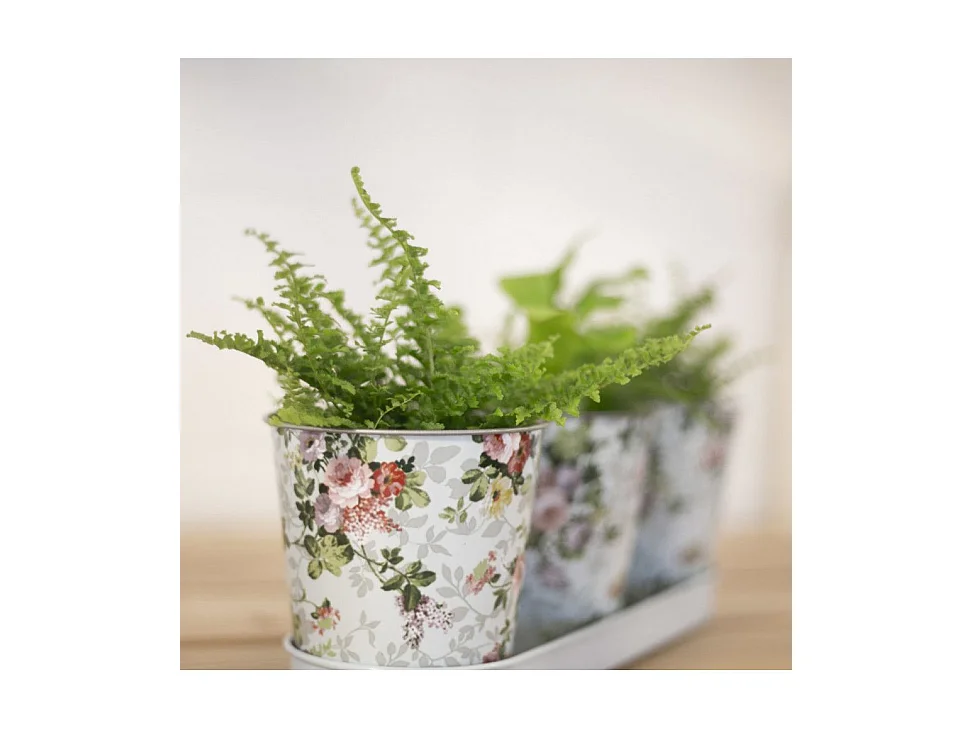 Fioriera 3 vasi Rose