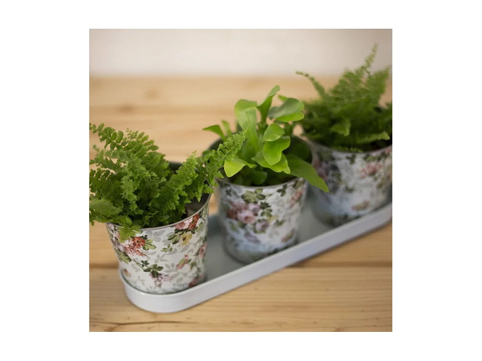 Fioriera 3 vasi Rose