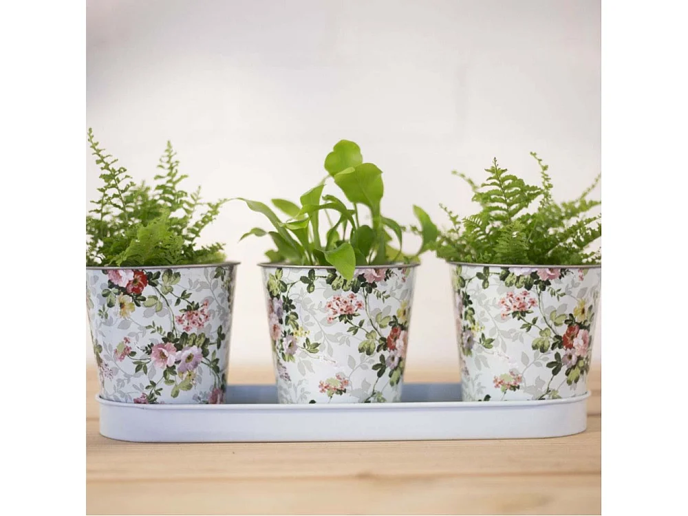 Jardinière 3 pots Roses