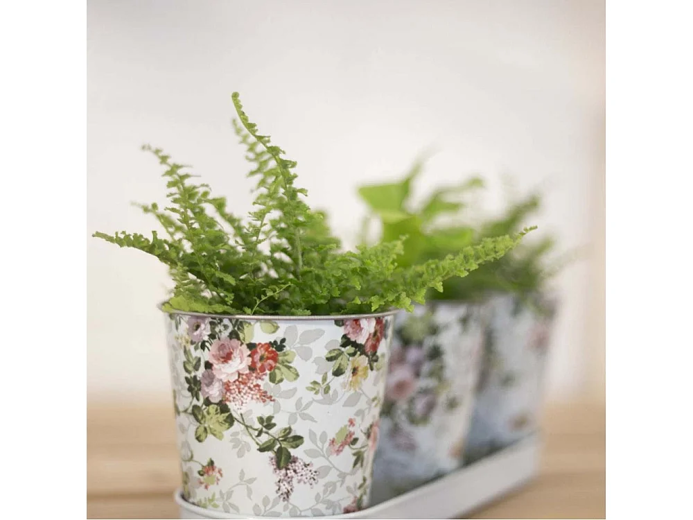 Jardinière 3 pots Roses