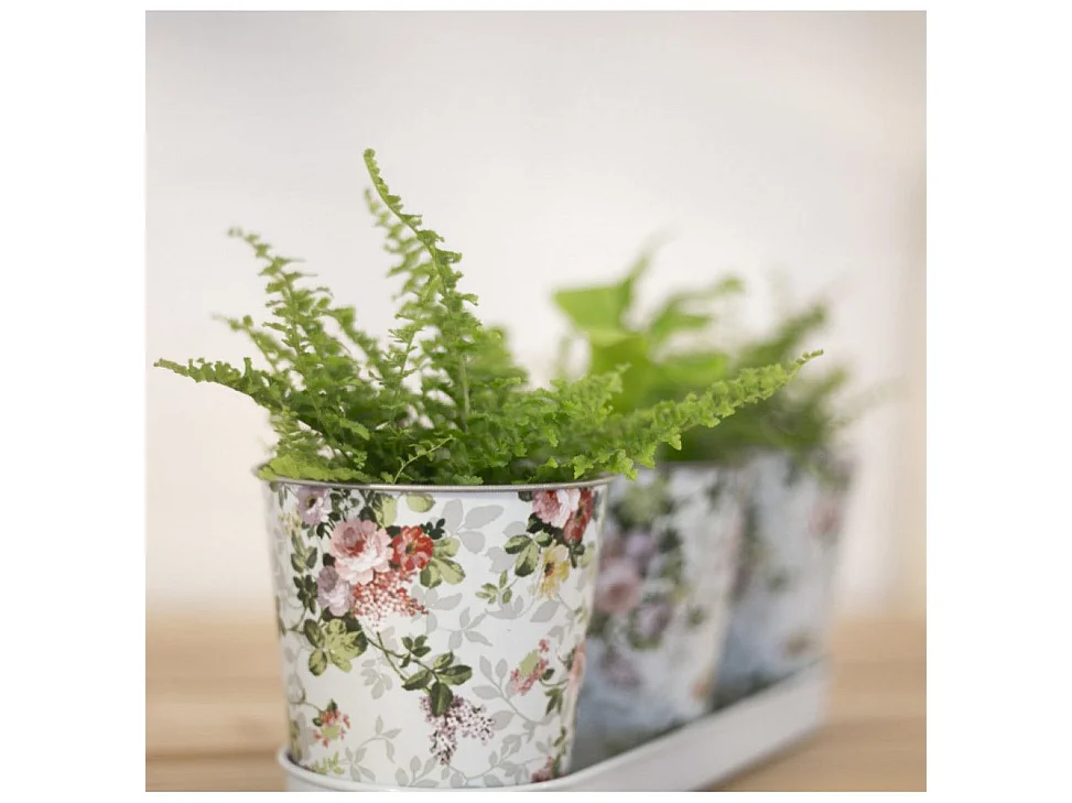 Jardinière 3 pots Roses