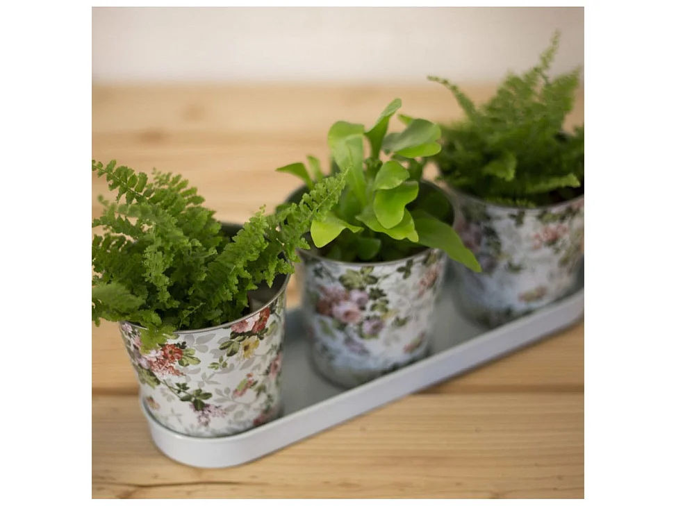 Jardinière 3 pots Roses