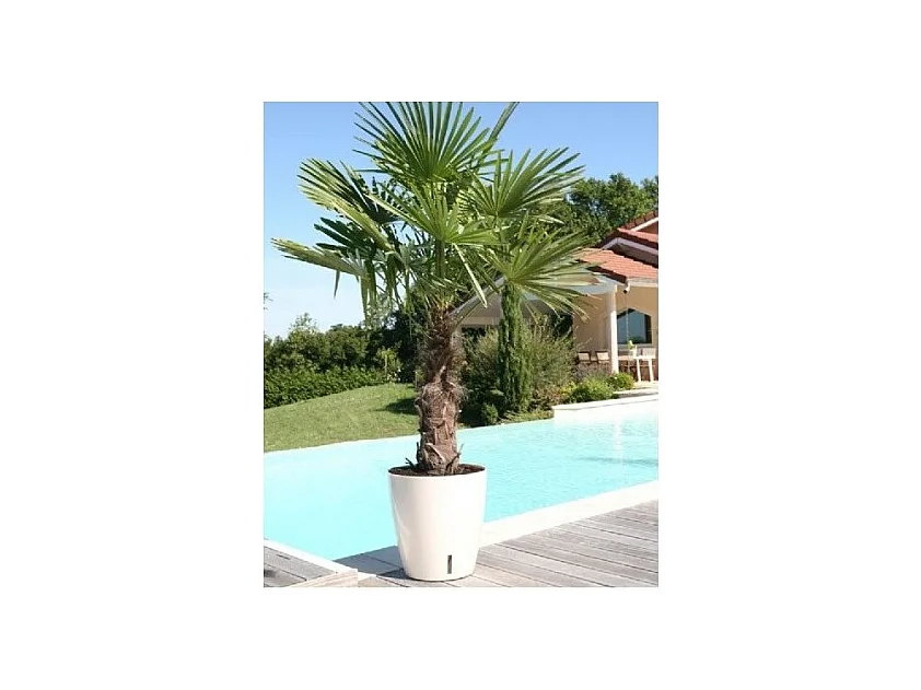 Ronde bloempot van kunststof - Ø 31 cm - 14,5 L - Wit