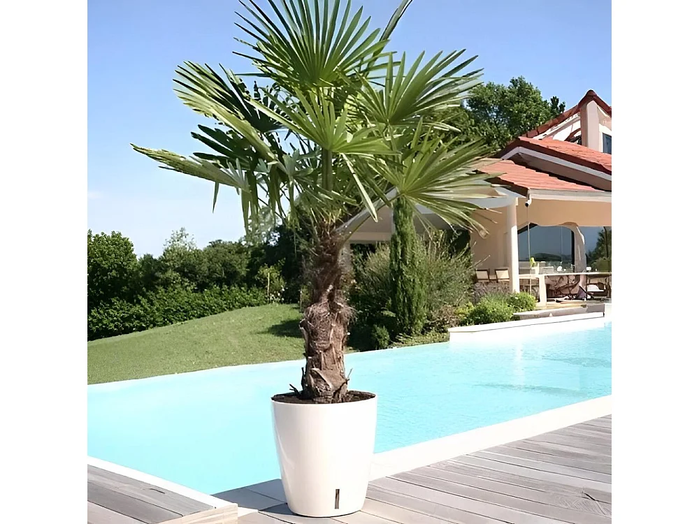 Pot en plastique rond avec réserve d'eau 30 cm Eva